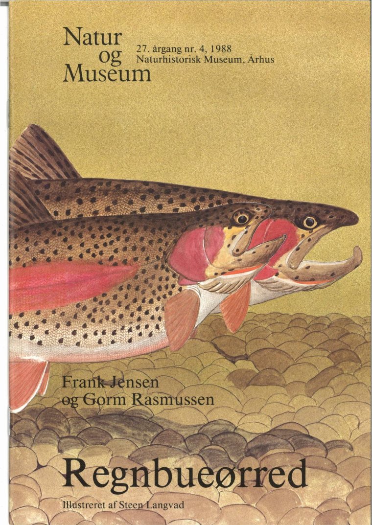 Regnbueørred